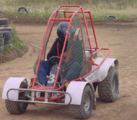Crazy Buggies