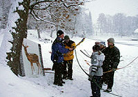 Tallinn Archery Activity