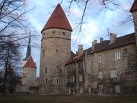 Tallinn Stag Do